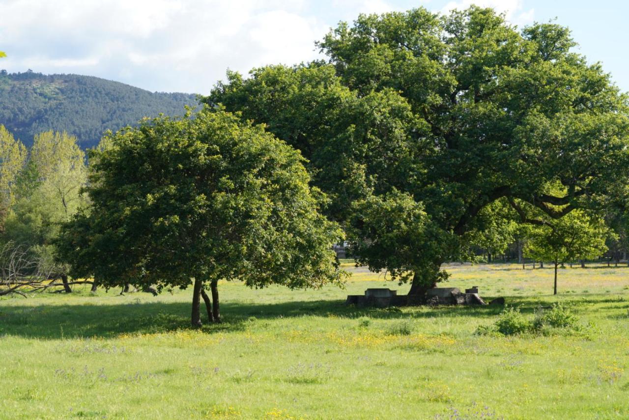 Quinta Do Areal Lägenhet Lousã Exteriör bild