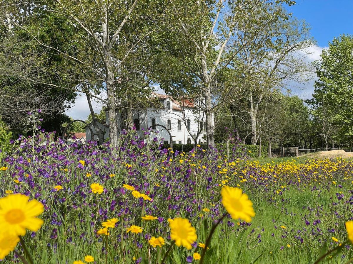 Quinta Do Areal Lägenhet Lousã Exteriör bild