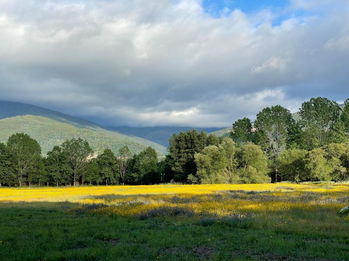 Quinta Do Areal Lägenhet Lousã Exteriör bild